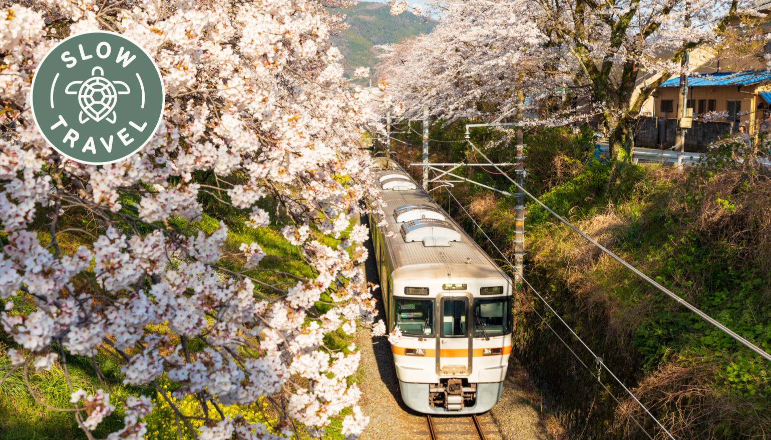 Japan train